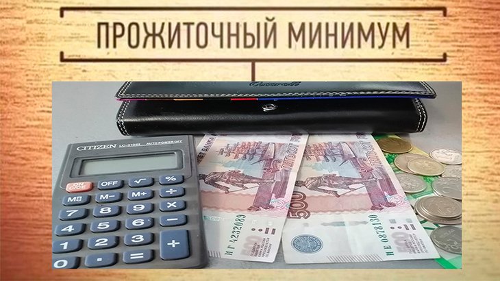 2019 елның 1 кварталы өчен Татарстан Республикасында яшәү минимумы күләме расланды