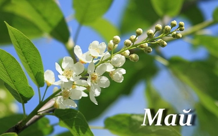 Май аенда татарстанлыларны өстәмә ял көннәре көтә